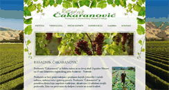 Desktop Screenshot of cakaranovic.com